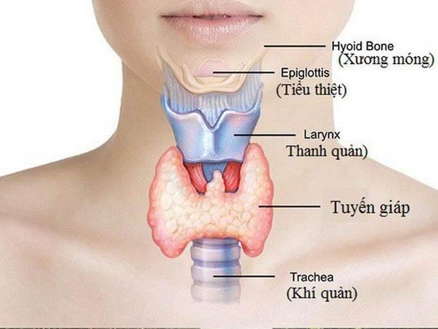 Bệnh ung thư tuyến giáp làm thế nào để phát hiện sớm?